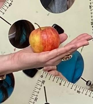 Ochutnáváme  jablko poznání a ladíme formu